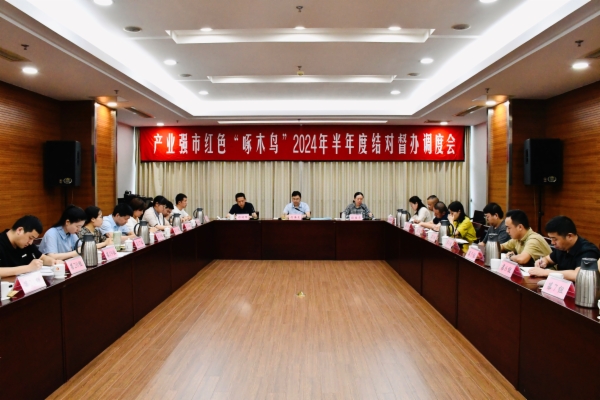 2、丹阳市委市级机关工委召集红色“啄木鸟”队伍举办调度会，听取项目督办进度和存在问题困难.jpg